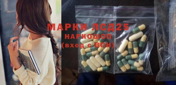 ECSTASY Бикин
