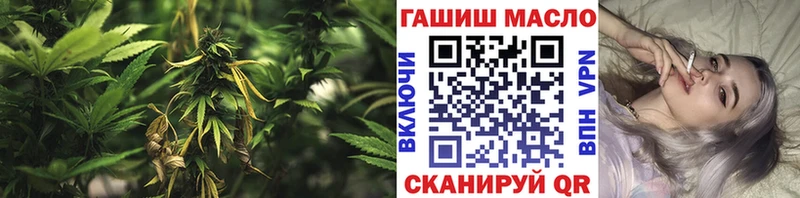 Дистиллят ТГК THC oil  Купить закладки  Миллерово 